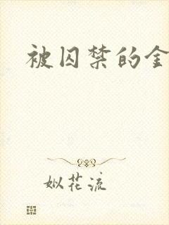 被囚禁的金丝雀封面