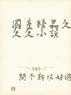 国产精品久久久久久小说