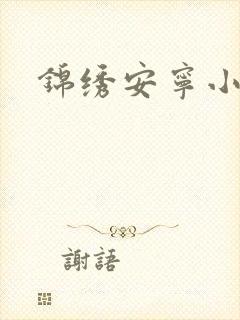 锦绣安宁小说