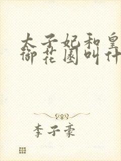 太子妃和皇帝在御花园叫什么小说封面