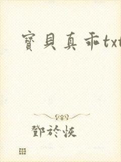 宝贝真乖txt封面