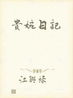 贵婉日记封面