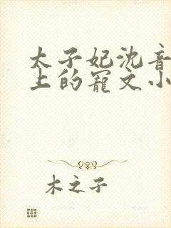 太子妃沈音和皇上的宠文小说