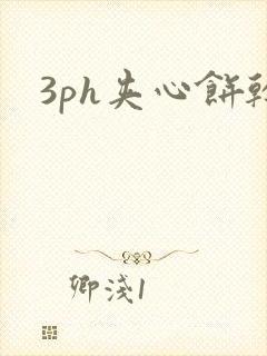 3ph夹心饼干封面