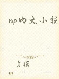 np肉文小说