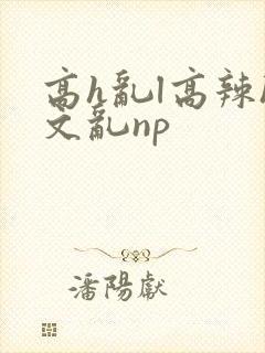 高h乱l高辣h文乱np