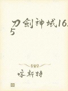 刀剑神域16.5封面