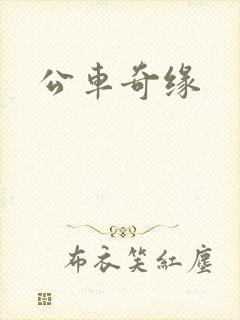 公车奇缘
