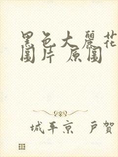 黑色大丽花真实图片 原图