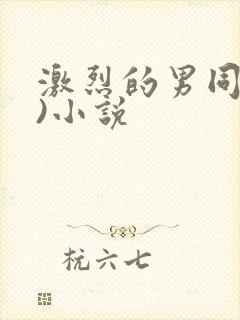 激烈的男同(h)小说封面