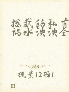 总裁的私有宝贝祸水泱泱全文阅读