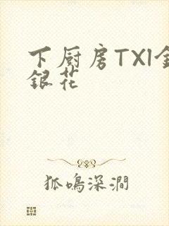 下厨房TXl金银花封面