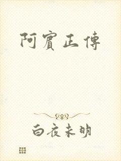 阿宾正传