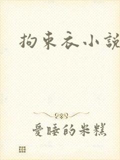 拘束衣小说封面