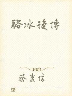 骆冰后传封面