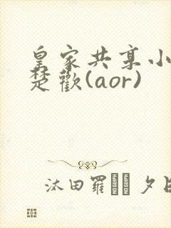 皇家共享小公主楚欢(aor)