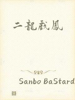二龙戏凤