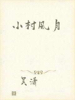 小村风月封面