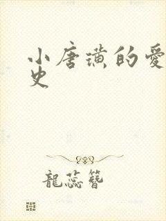 小唐璜的爱情历史封面