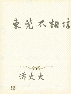 东莞不相信眼泪