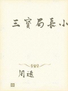 三宝局长小说