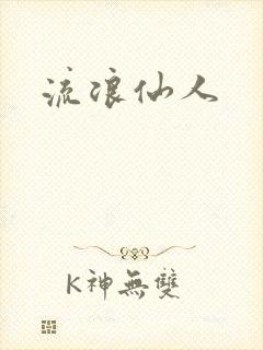 流浪仙人封面