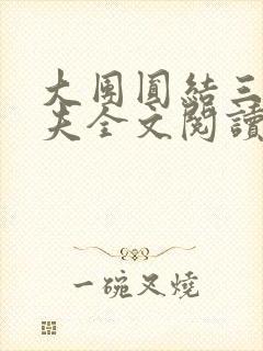 大团圆结三女一夫全文阅读封面