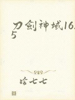 刀剑神域16.5封面