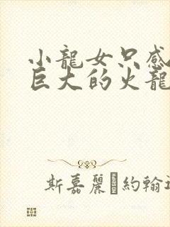 小龙女只感觉那巨大的火龙枪封面