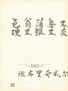 色翁荡息又大又硬又粗又爽电影