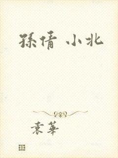 孙倩 小北封面