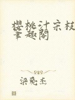 樱桃汁宋枝江野笔趣阁