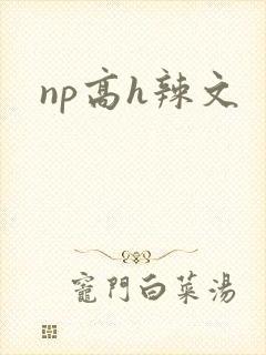 np高h辣文封面