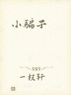 小骗子