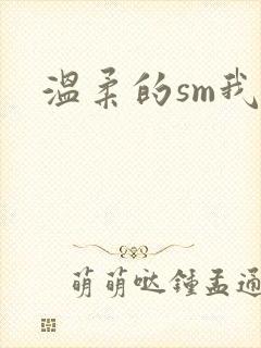 温柔的sm我封面