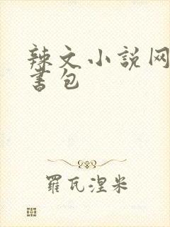 辣文小说网第二书包