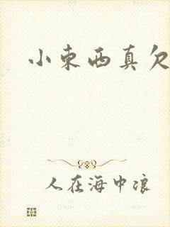 小东西真欠弄
