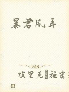 暴君风弄封面