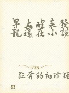 早上醒来发现巨龙还在小说