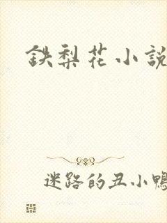 铁梨花小说