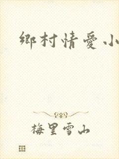 乡村情爱小说