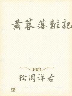 黄蓉落难记封面