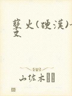 孽火(硬汉)今又