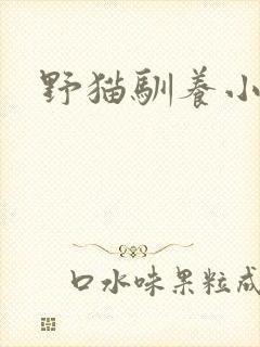 野猫驯养小说