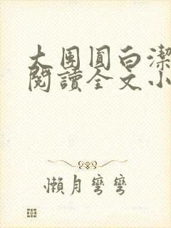 大团圆白洁免费阅读全文小说封面