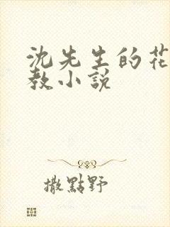 沈先生的花式管教小说封面