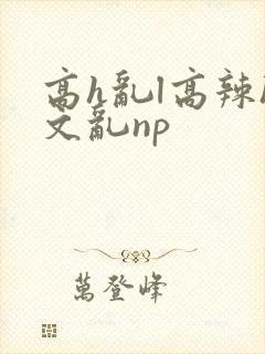高h乱l高辣h文乱np