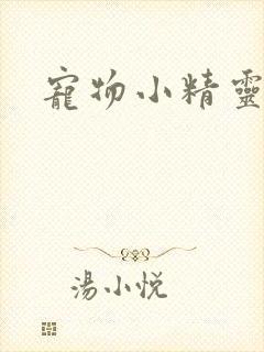 宠物小精灵漫画封面