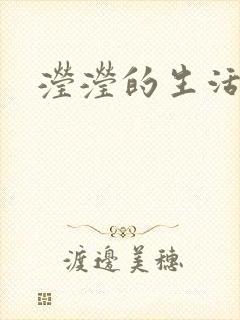 滢滢的生活日记封面