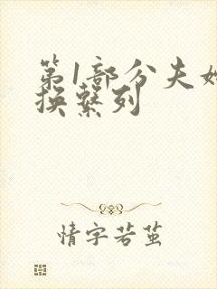 第1部分夫妇交换系列封面